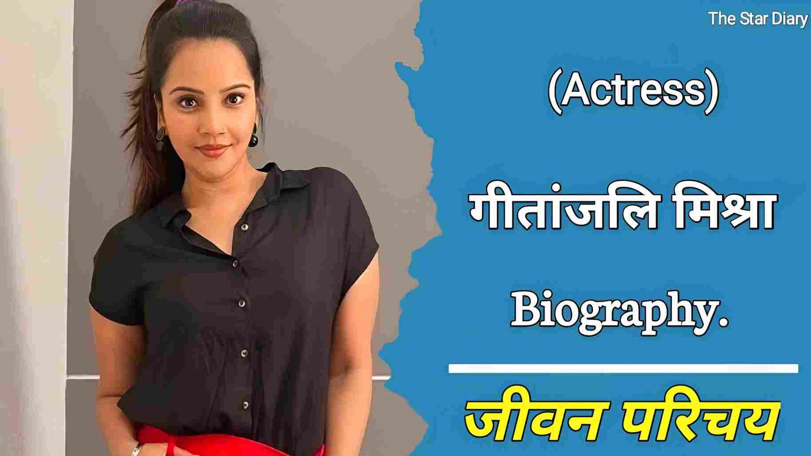 गीतांजलि मिश्रा का जीवन परिचय | Geetanjali Mishra Biography In Hindi